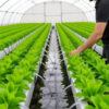 Aquaponics Market
