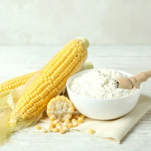 Corn Starch Market