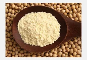 Hydrolyzed Vegetable Protein Market