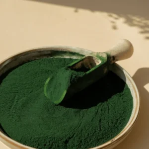 Algal Protein Market