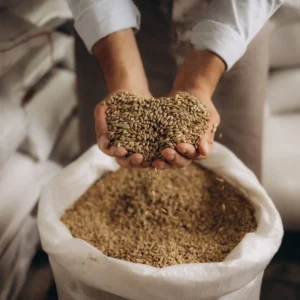 Animal Feed Additives Market