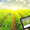 Smart Crop Monitoring Market