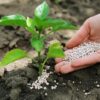 Specialty Fertilizers Market