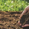 Soil Treatment Market