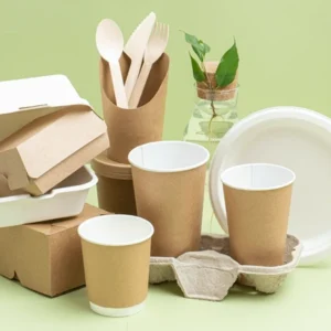 Foodservice Disposable